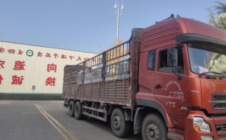 忙碌的五月，忙碌的发货，金格瑞颗粒机生产线发往全国各地